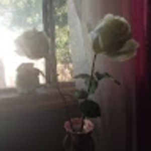 Meet your Posher, Luis francisco